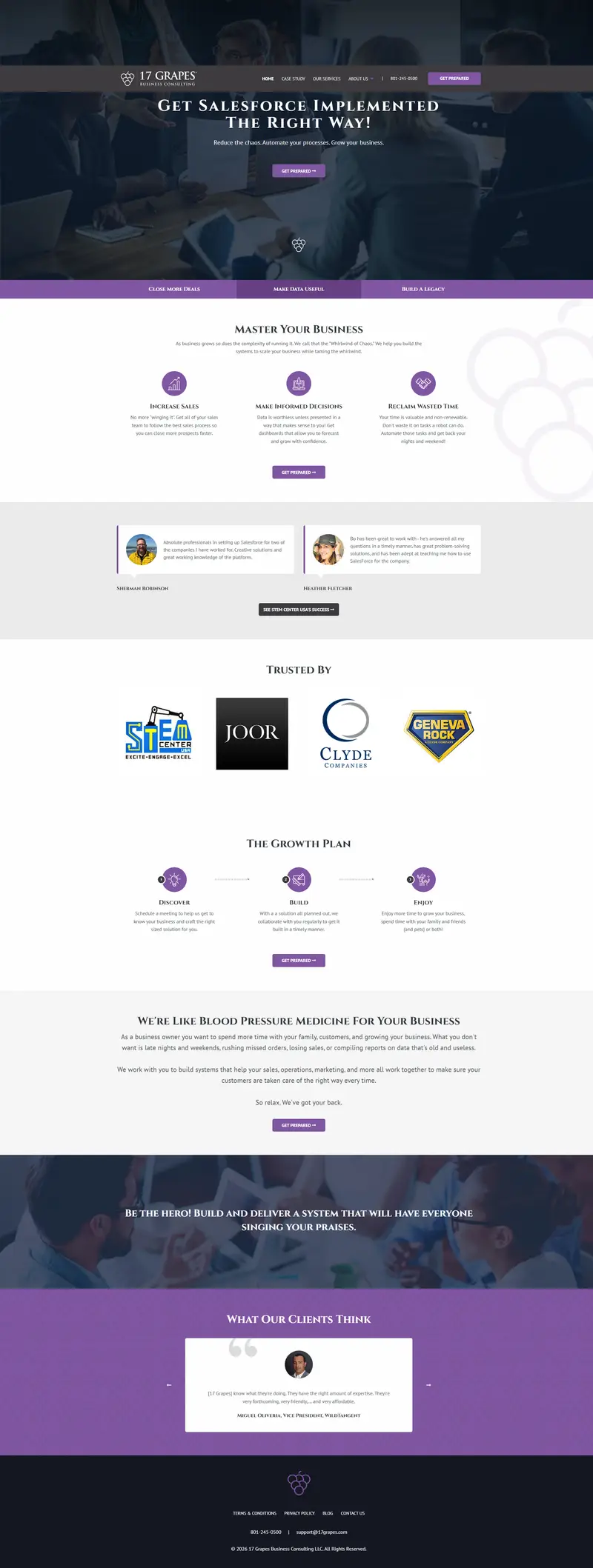 17 Grapes - Salesforce Automation for Businesses website screenshot