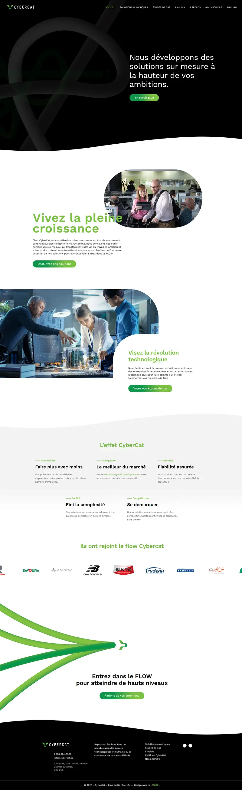 Accueil - Cybercat Cybercat website screenshot