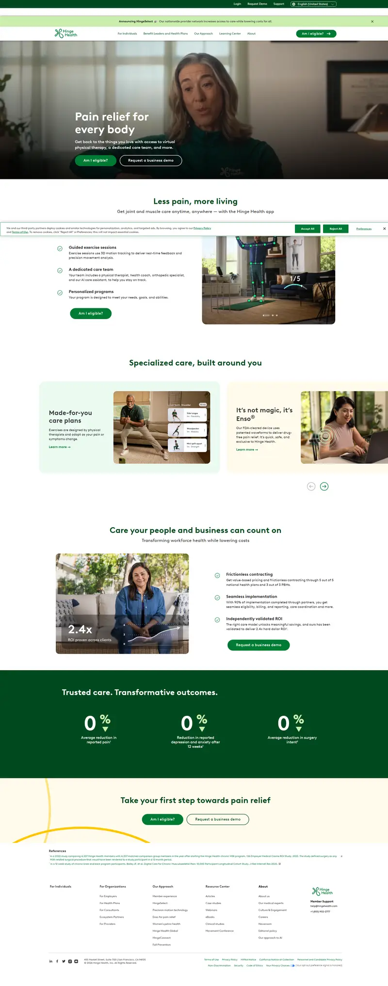 Virtual Physical Therapy and More: Personalized Pain Care website screenshot