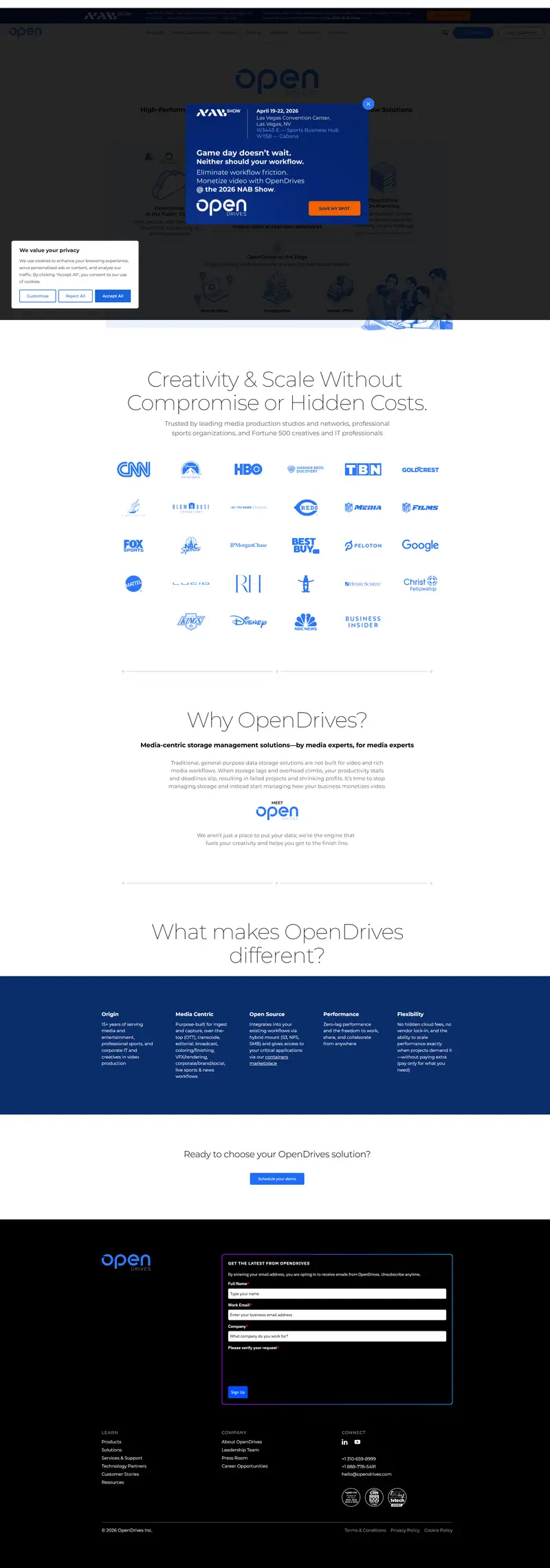 OpenDrives | Media-centric Storage Management Solutions website screenshot