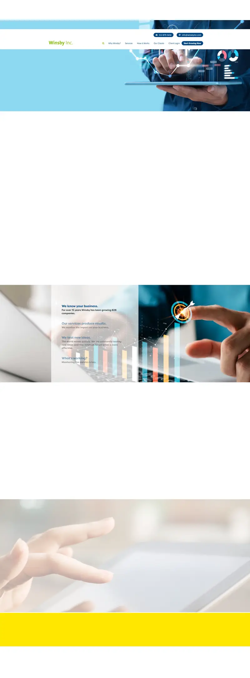 Top SEO Company and B2B Marketing Service Provider website screenshot