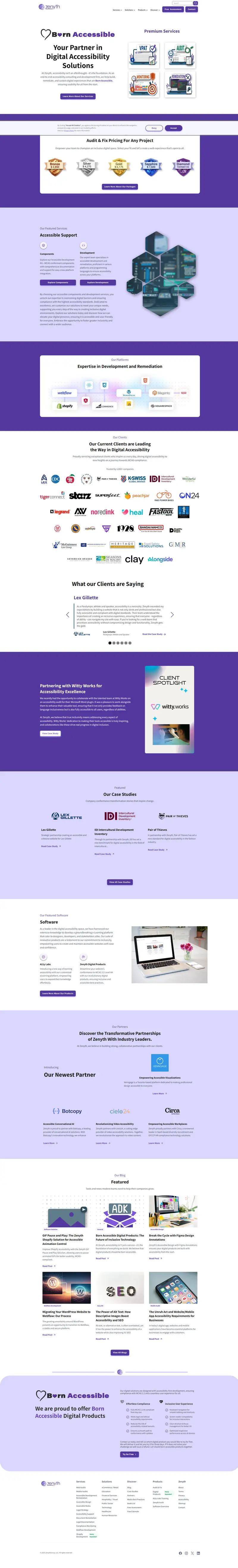 Your Partner in Born Accessible Digital Solutions | Zenyth website screenshot